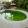 Swimming Pool Remodel - Before