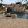Swimming Pool Pavers