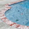 Swimming Pool Upgrades